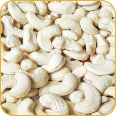 Lali Balaji HORECA Cashew W-240 Premium